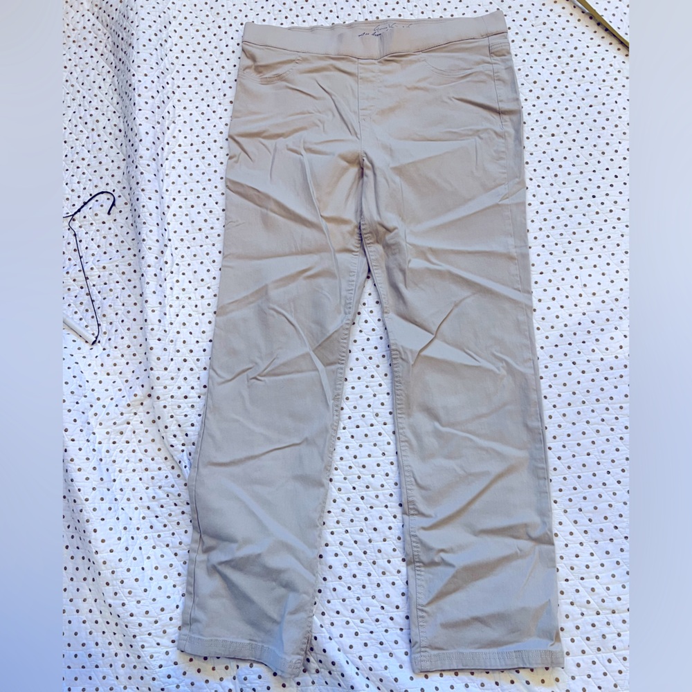 Gloria Vanderbilt pull on stretch pants